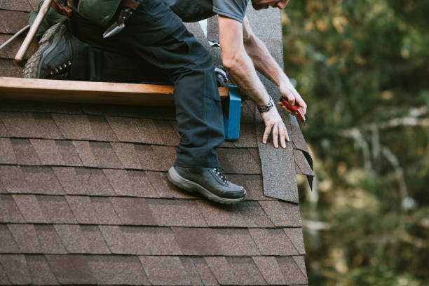 Best Metal Roofing Contractor  in Orchard Mesa, CO